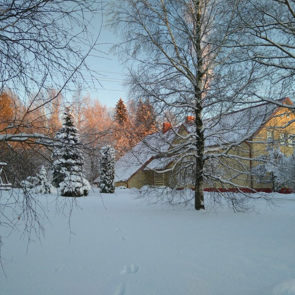 Mazozolu skolas bilde ziemā.